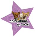 Chihuahuas Rock  thumbnail