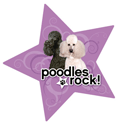 Poodles Rock! thumbnail