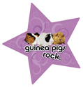 Guinea Pigs Rock thumbnail