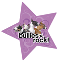 Bullies Rock thumbnail