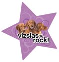 Vizslas Rock thumbnail
