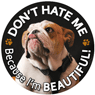 Don't Hate Me... Bulldog thumbnail