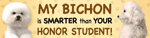 Bichon/Honor Student thumbnail