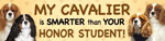 Cavailer/Honor Student thumbnail
