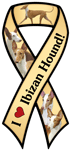 Ibizan Hound thumbnail