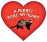 A ferret stole my heart thumbnail