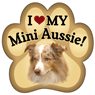 Mini Aussie thumbnail