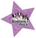 Bostons Rock thumbnail