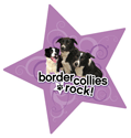 Border Collies Rock thumbnail