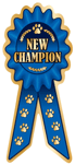 New Champion thumbnail