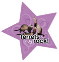 Ferrets Rock thumbnail