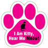 I am kitty, hear me MEOW! thumbnail