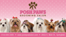 Pups with bows thumbnail