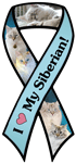 Siberian thumbnail