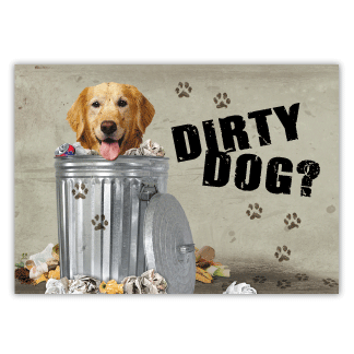 Dirty Dog? thumbnail