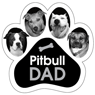 Pitbull Dad thumbnail