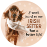 I work hard so my Irish Setter... thumbnail