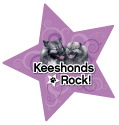 Keeshonds Rock! thumbnail