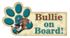 Bullie on Board thumbnail