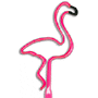 Flamingo (MC) thumbnail