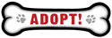 Adopt! thumbnail