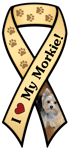 Morkie thumbnail