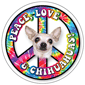 Peace, Love & Chihuahuas thumbnail