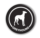 Greyhound (black) thumbnail