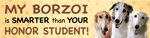 Borzoi/Honor Student thumbnail