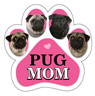 Pug Mom thumbnail