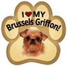 Brussels Griffon thumbnail