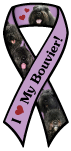 Bouvier thumbnail
