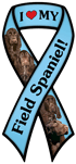 Field Spaniel thumbnail