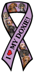 Dachshund thumbnail