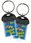 Flyball Dog thumbnail