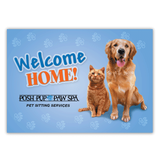 Welcome Home! thumbnail