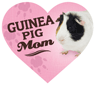 Guinea Mom thumbnail