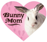 Bunny Mom thumbnail