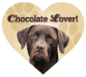 Chocolate Lover thumbnail