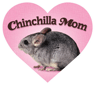 Chinchilla Mom thumbnail
