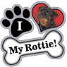 Rottie thumbnail