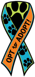 Opt to Adopt thumbnail