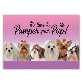 Time to Pamper your Pup thumbnail