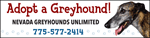 Adopt a Greyhound thumbnail