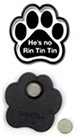 He's no Rin Tin  Tin thumbnail