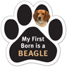My First Born is a BEAGLE thumbnail