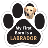 My First Born is a LABRADOR thumbnail