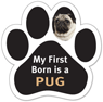 My First Born is a PUG thumbnail
