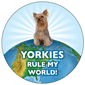 Rule my World - Yorkies thumbnail
