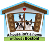 Boston Terrier thumbnail